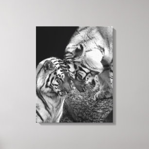 Tigerkärlekfoto på kanfassjalen canvastryck