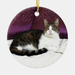Tigerkatt Julgransprydnad Keramik
