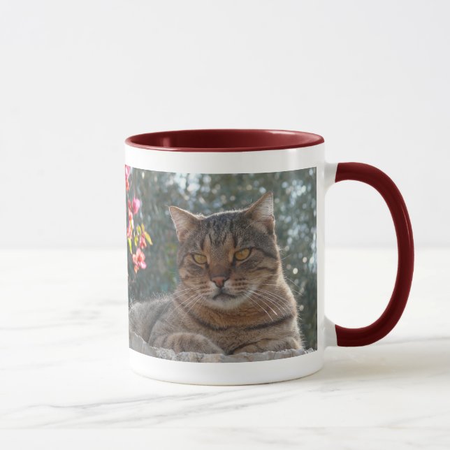 Tigerkatt Pandelie Mugg (Höger)