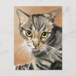 Tigerkatt Ungdjur Djur Postkort Vykort