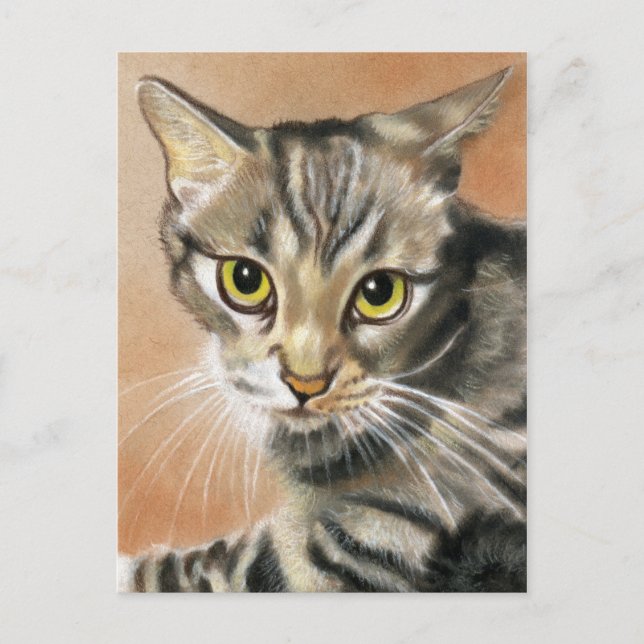 Tigerkatt Ungdjur Djur  Postkort Vykort (Framsida)