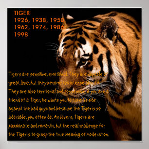 TigerkinesZodiac Poster