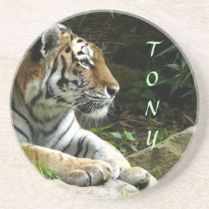 Tigerkustfartyg Underlägg Sandsten