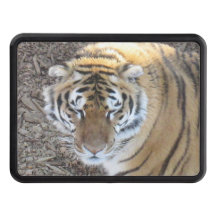 Tigerlastbilhaken täcker