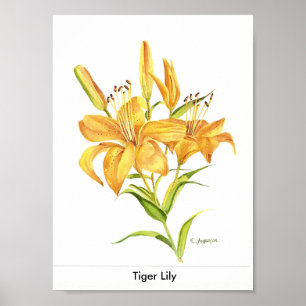 Tigerlilja i guld och gultvattenfärg poster