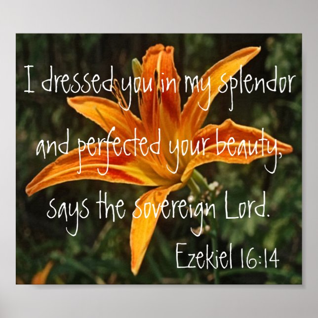 Tigerliljebible verse Ezekiel 16:14 Poster (Framsidan)