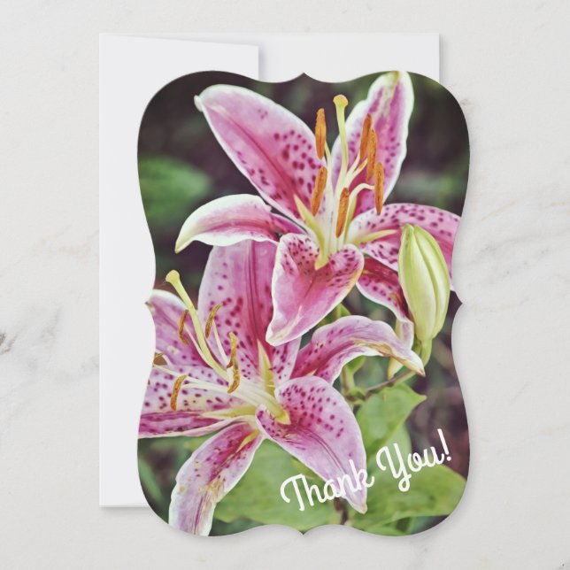 Tigerlily Rosa Blomma Tack Platt Notkort Kort (Framsida)