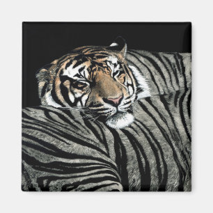 Tigermagnet #1 - "sova mönster ", magnet
