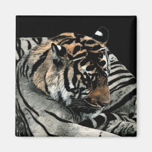 Tigermagnet #2 - "sova mönster ", magnet