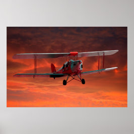 Tigermoth Poster