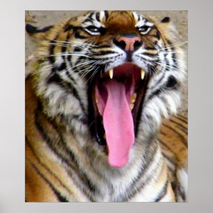 Tigermun Poster