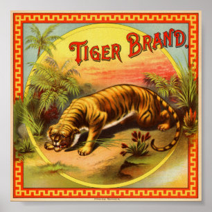 Tigern brännmärker 1900 poster