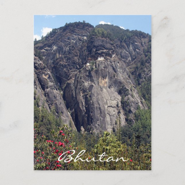 tigern bygga bo klippakloster vykort (Framsida)