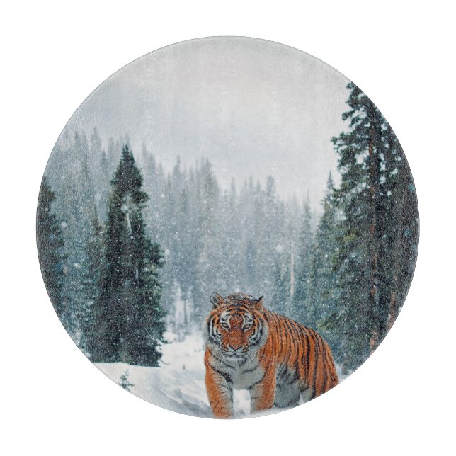 tigern i snö (Framsidan)