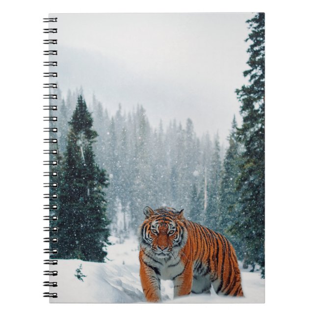tigern i snö anteckningsbok (Framsidan)