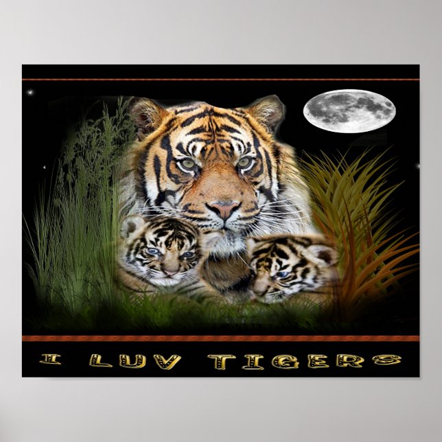 tigern och unge poster (Framsidan)