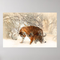 tigern unge och mor i snö poster