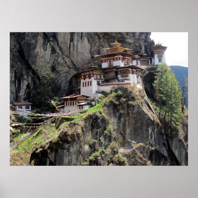 Tigernäbbbhutan Poster (Framsidan)