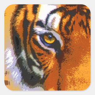 TIGERÖGA FYRKANTIGT KLISTERMÄRKE