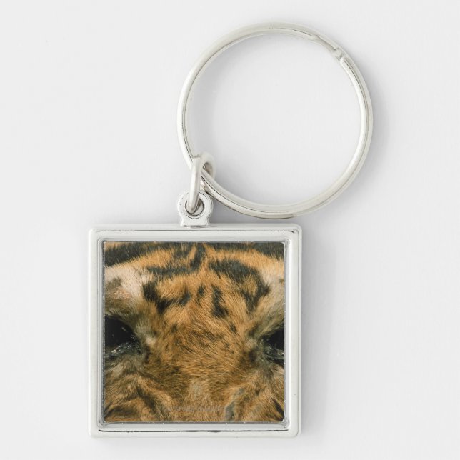 Tigerögon Fyrkantig Silverfärgad Nyckelring (Framsidan)