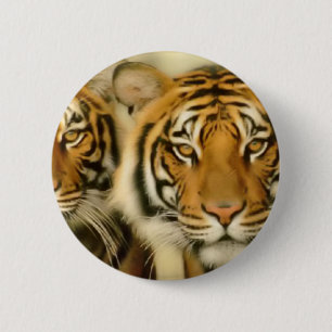 Tigerögon Knapp