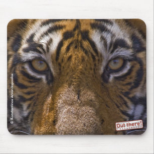 Tigerögon Musmatta