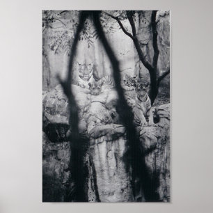 Tigerögon Poster