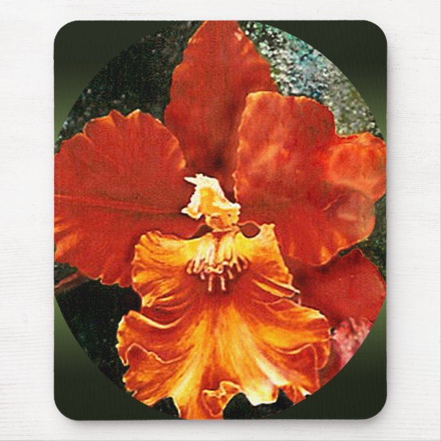 TigerOrchidmusen vadderar Musmatta (Framsidan)