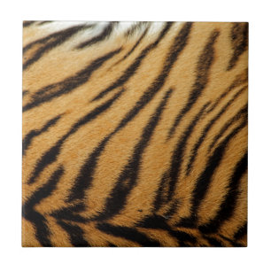 Tigerpälsrandar Kakelplatta
