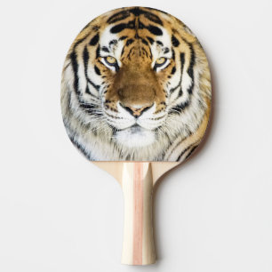 Tigerpingen Pong paddlar Pingisracket