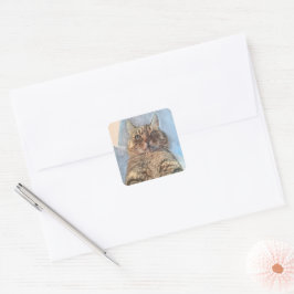 Tigerrandig katt illustrationsdesign fyrkantigt klistermärke