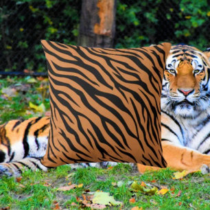 Tigerrandig Kudde