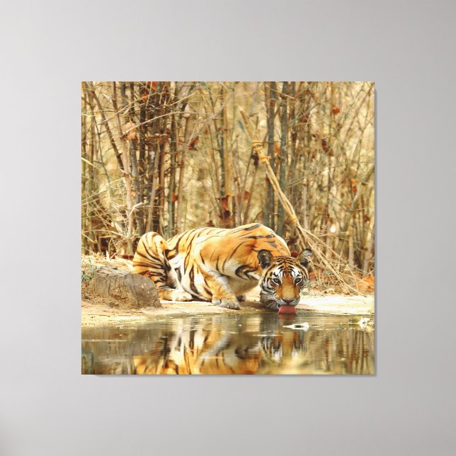 Tigerreflektion Canvastryck (Framsida)