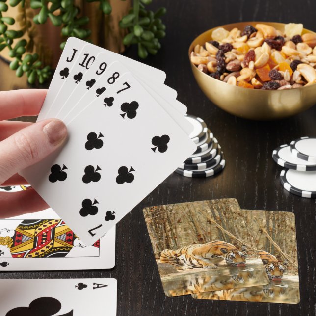 Tigerreflektion Casinokort (På plats)