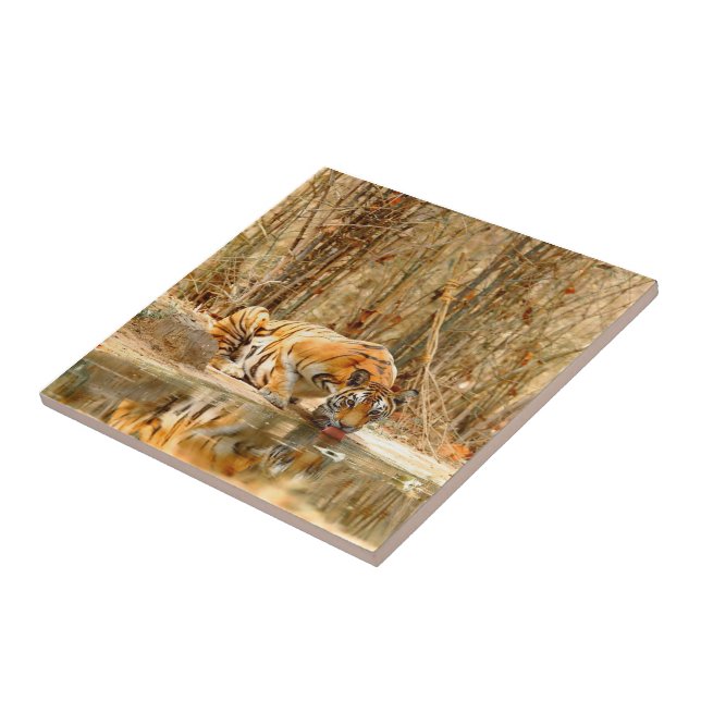 Tigerreflektion Kakelplatta (Sidan)