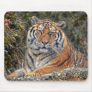 Tigerroyal Mousepad Musmatta