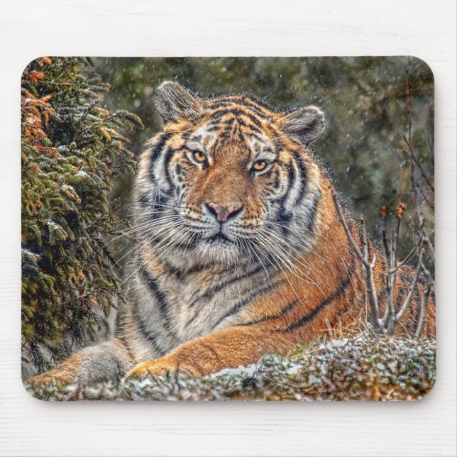 Tigerroyal Mousepad Musmatta (Framsidan)