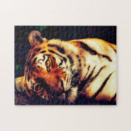 Tigers Big Cats. Pussel