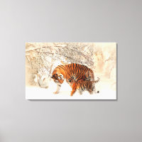 Tigers