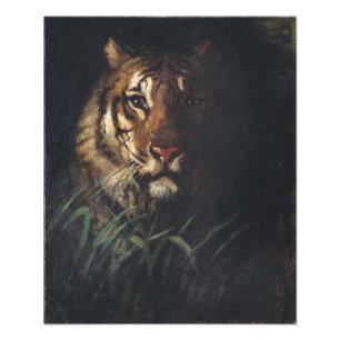 Tigers chef av Abbott Handerson Thayer Fototryck