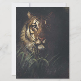 Tigers chef (av Abott Handerson Thayer) Kort