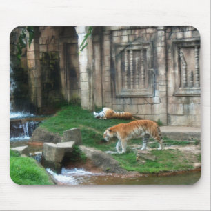 Tigers Den Musmatta