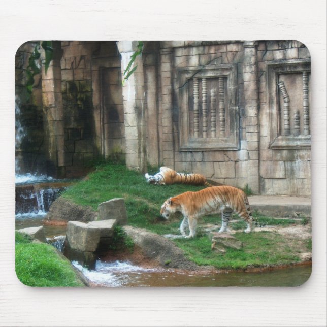 Tigers Den Musmatta (Framsidan)