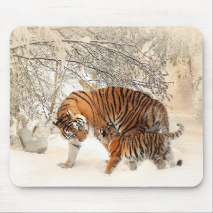Tigers-familjen Musmatta