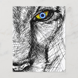 Tigers Gaze Flygblad