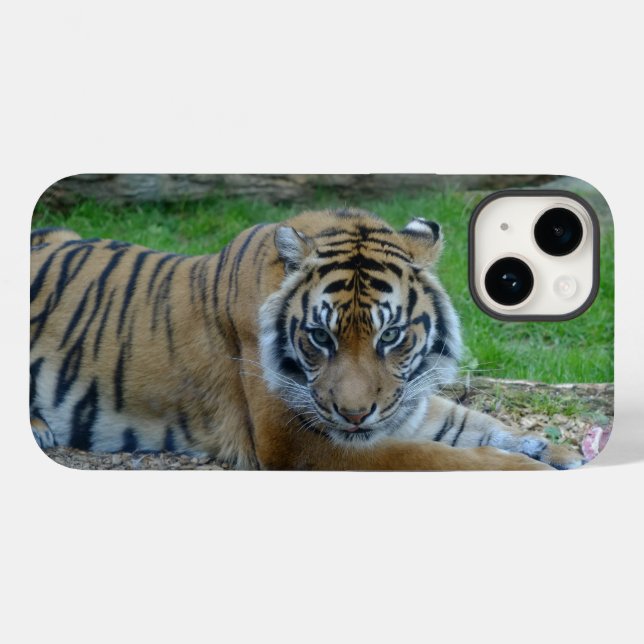 Tigers Gaze iPhone/iPad Case (Baksida (horisontell))