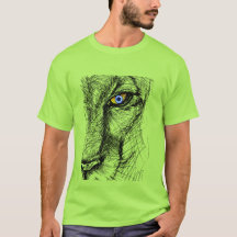 Tigers Gaze