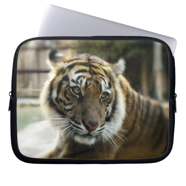 Tigers Grace Laptop Fodral (Framsidan)