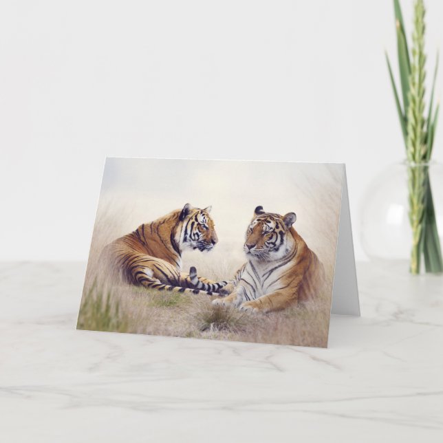 Tigers Greeting Card Kort (Framsida)