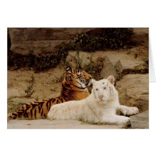 Tigers Hälsningskort